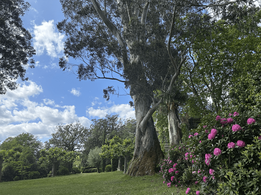 Jardín de Excelencia Pazo de Rubianes
